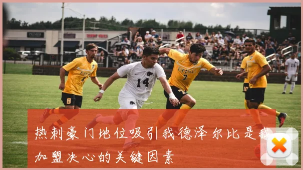 热刺豪门地位吸引我德泽尔比是我加盟决心的关键因素