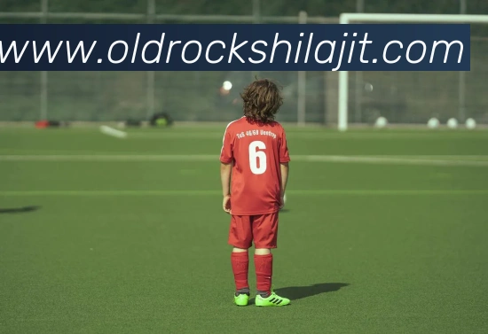 AI Risk Control